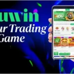 diuwin-game-code